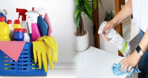 Non-Toxic Cleaning Solutions in Safeguarding Your Family's Health at Home